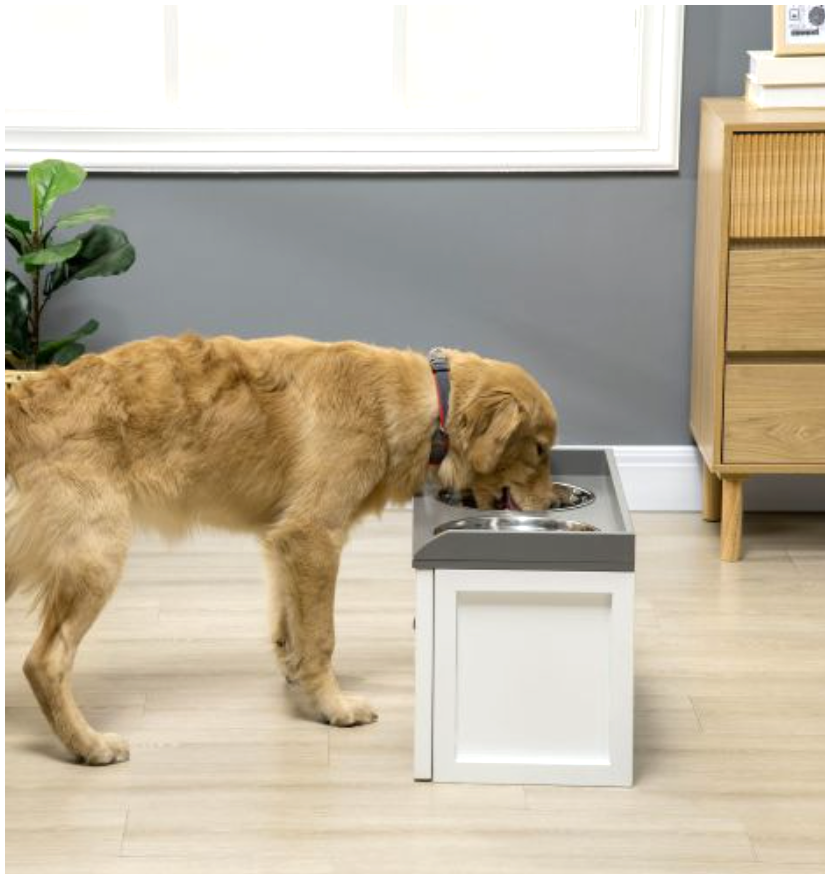 The Everyday Essentials Every Dog Parent Needs