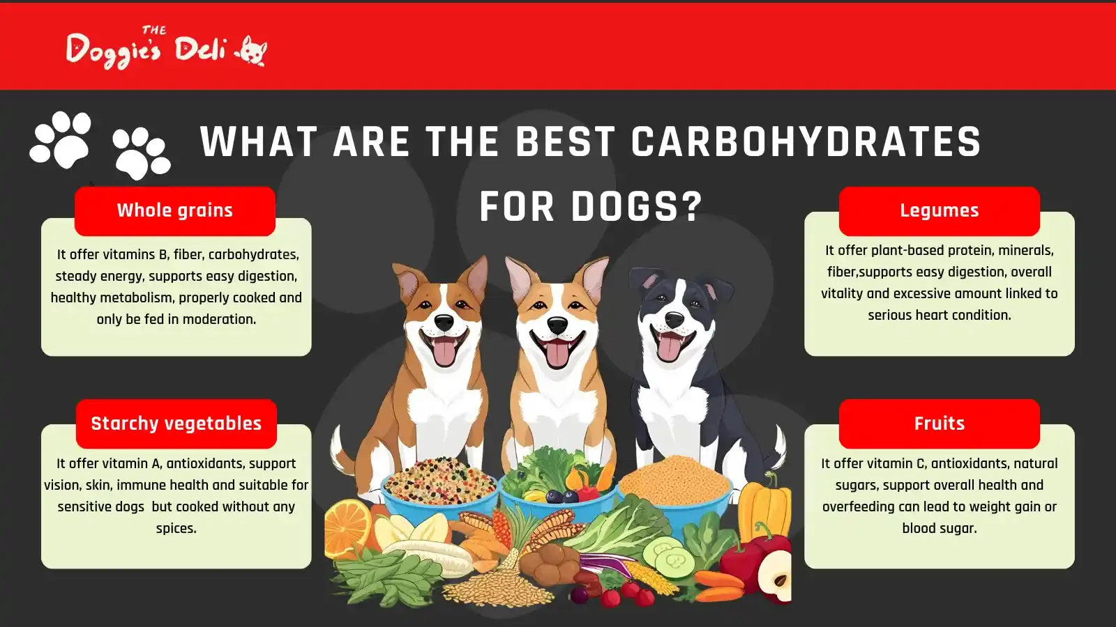 🐶 Grain-Free Dog Diets: Myth vs. Fact