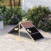 PawHut Dog Agility Equipment Ramp with Non-slip Surface, A-frame, Agility Equipment Ramp for All Breed Dogs, Gray